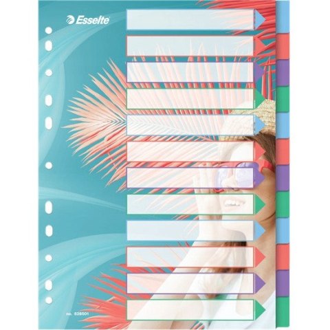 Przekładki Colour`Breeze PP A4 12 przekładek 628501 ESSELTE Przekładki Colour`Breeze PP A4 12 przekładek 628501 ESSELTE