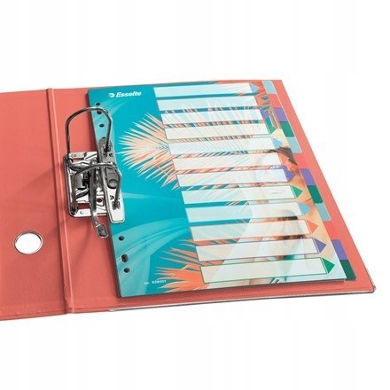 Przekładki Colour`Breeze PP A4 12 przekładek 628501 ESSELTE Przekładki Colour`Breeze PP A4 12 przekładek 628501 ESSELTE