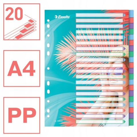 Przekładki Colour`Breeze PP A4 20 przekładek 628502 ESSELTE Przekładki Colour`Breeze PP A4 20 przekładek 628502 ESSELTE
