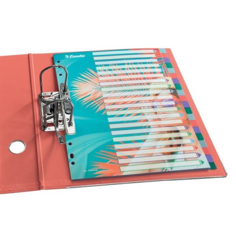 Przekładki Colour`Breeze PP A4 20 przekładek 628502 ESSELTE Przekładki Colour`Breeze PP A4 20 przekładek 628502 ESSELTE