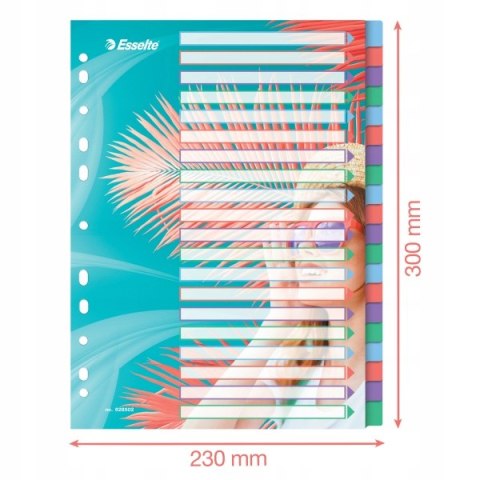 Przekładki Colour`Breeze PP A4 20 przekładek 628502 ESSELTE Przekładki Colour`Breeze PP A4 20 przekładek 628502 ESSELTE