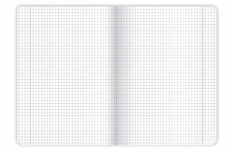 Zeszyt A5 96k kratka margines BOTANY 400182448 TOP 2000