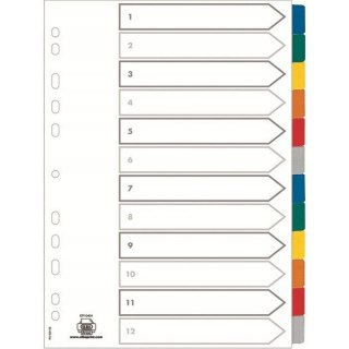 Przekładki kartonowe A4+ MYLAR 1-12 kolor 100204983 OXFORD