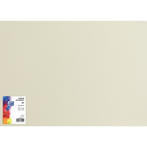 Karton kolorowy CREATINIO A1 160G (25 ark.) 93 jasnoszary 400149522 TOP 2000 Karton kolorowy CREATINIO A1 160G (25 ark.) 93 jasnoszary 400149522 TOP 2000