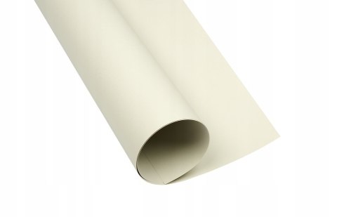 Karton kolorowy CREATINIO A1 160G (25 ark.) 93 jasnoszary 400149522 TOP 2000 Karton kolorowy CREATINIO A1 160G (25 ark.) 93 jasnoszary 400149522 TOP 2000