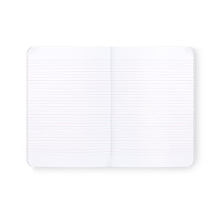 Zeszyt A5 32k linia podwójna kolorowa 90G 63549AMXC CLAIREFONTAINE