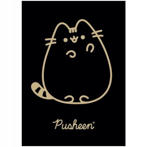 Zeszyt szkolny A5 60 kartek w kratkę laminowany PUSHEEN ST.MAJEWSKI Zeszyt szkolny A5 60 kartek w kratkę laminowany PUSHEEN ST.MAJEWSKI
