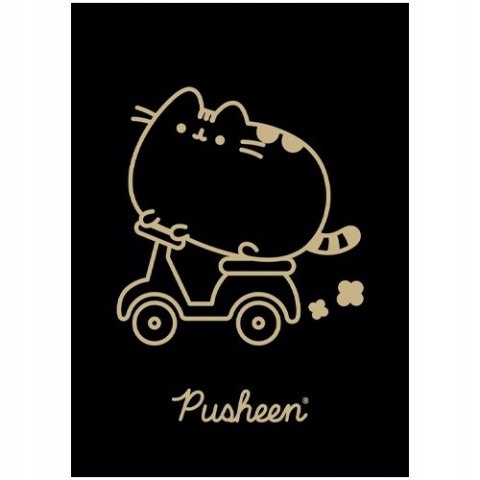 Zeszyt szkolny A5 60 kartek w kratkę laminowany PUSHEEN ST.MAJEWSKI Zeszyt szkolny A5 60 kartek w kratkę laminowany PUSHEEN ST.MAJEWSKI