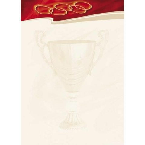 DYPLOM GALERIA PAPIERU A4 SPORT 25szt