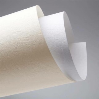KARTON OZDOBNY A4/230g SKÓRA BIAŁY 20szt