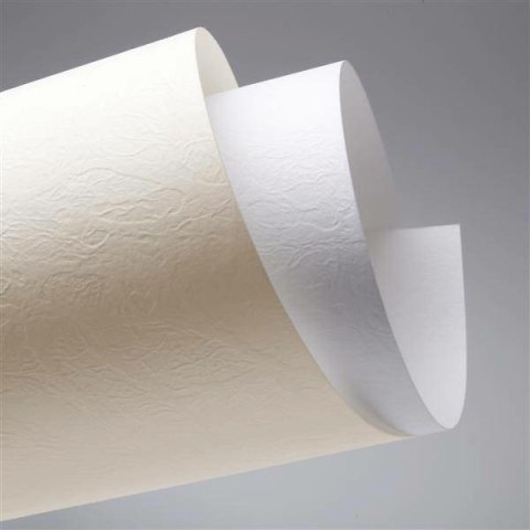 KARTON OZDOBNY A4/230g SKÓRA BIAŁY 20szt