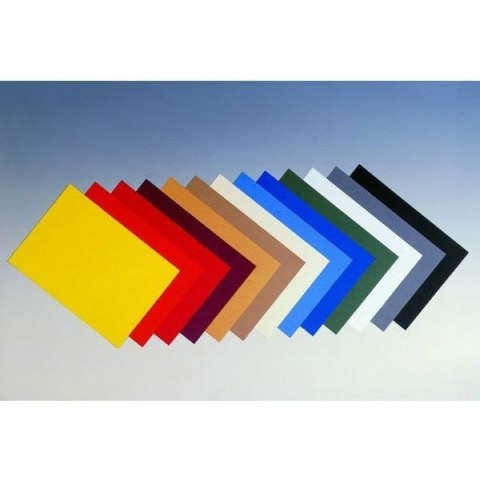 OKŁADKI DO BINDOWNICY A4 SKÓROPODOBNE KOŚĆ SŁONIOWA 100szt