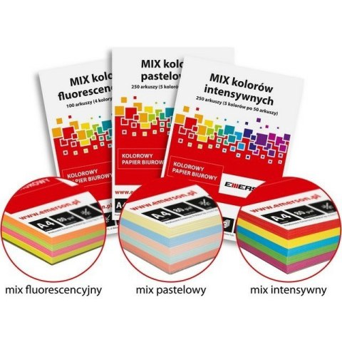 Papier Emerson A4/80g intensywny 5 kolorów (5x50)