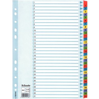 PRZEKŁADKI MYLAR ESSELTE A4 1-31