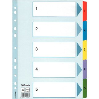 PRZEKŁADKI MYLAR ESSELTE A4 1-5
