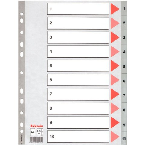 PRZEKŁADKI PP ESSELTE A4 1-10