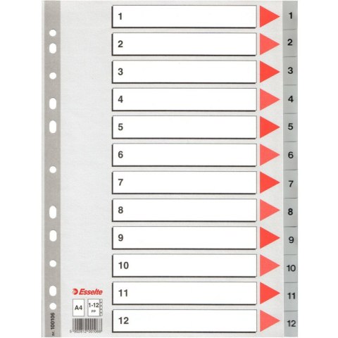 PRZEKŁADKI PP ESSELTE A4 1-12