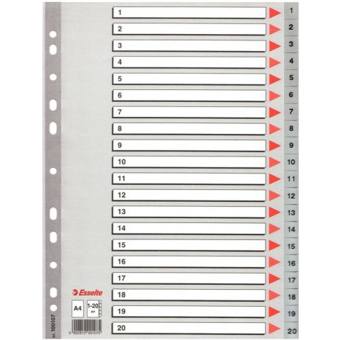 PRZEKŁADKI PP ESSELTE A4 1-20