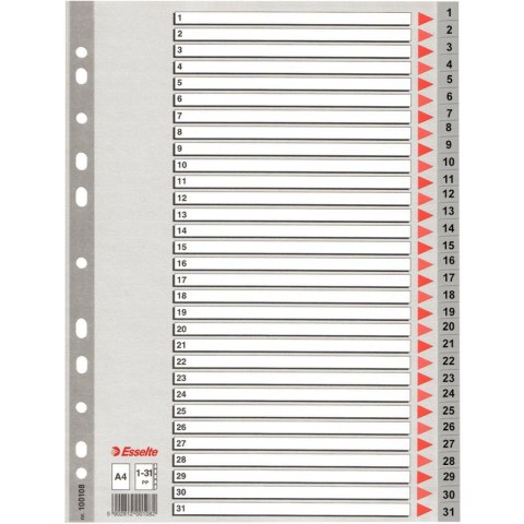 PRZEKŁADKI PP ESSELTE A4 1-31