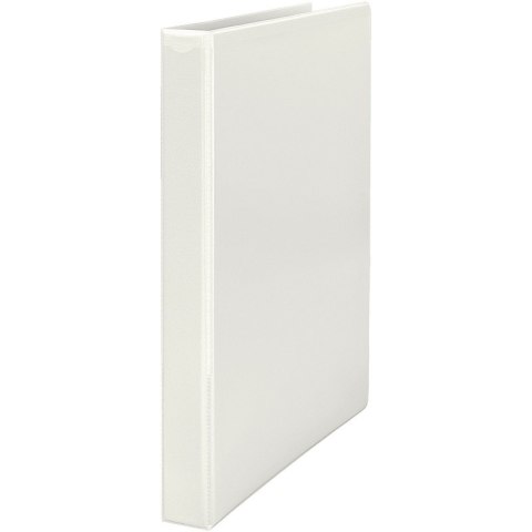 SEGREGATOR OFERTOWY LEITZ A4+/29mm 4RR BIAŁY