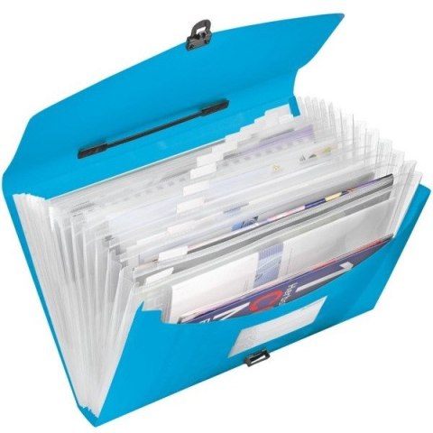 TECZKA ESSELTE VIVIDA 12 PRZEGRÓDEK NIEBIESKA
