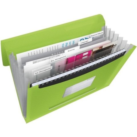 TECZKA ESSELTE VIVIDA 6 PRZEGRÓDEK ZIELONA