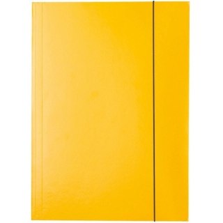 TECZKA KARTONOWA Z GUMKĄ ESSELTE A4/400g ŻÓŁTA