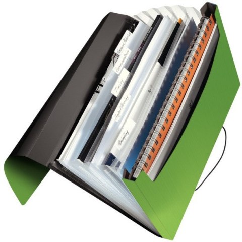 TECZKA LEITZ SOLID 6 PRZEGRÓDEK ZIELONA