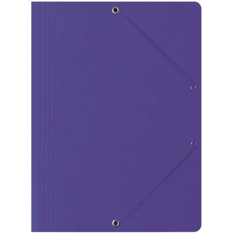 TECZKA PRESZPANOWA Z GUMKĄ BANTEX A4 FIOLETOWA