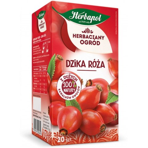 HERBATA HERBAPOL DZIKA RÓŻA 20szt