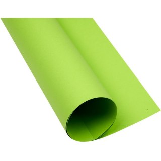 Karton Oxford A1 160g jasnozielony