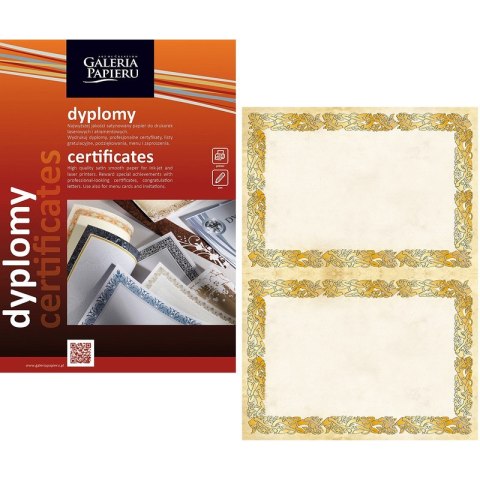 Dyplom Galeria Papieru A4/170g Celtic 25szt