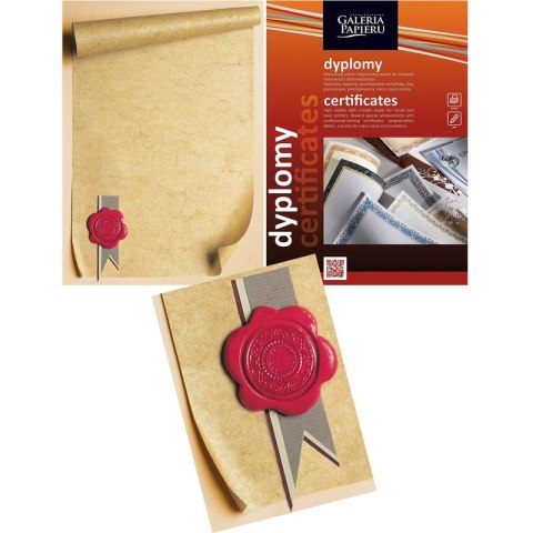 Dyplom Galeria Papieru A4/170g Pieczęć 25szt