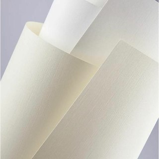 PAPIER OZDOBNY A4/120g PŁÓTNO BIAŁY 50szt