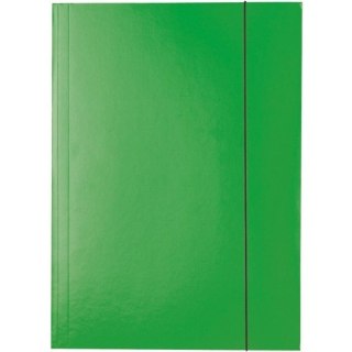 TECZKA KARTONOWA Z GUMKĄ ESSELTE A4/400g ZIELONA